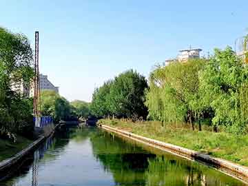 yarenshenzhi