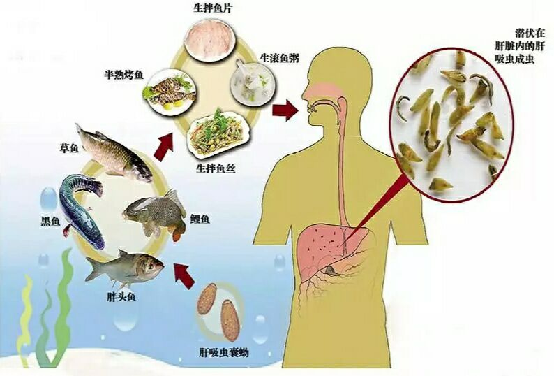 公证管理 第1589页