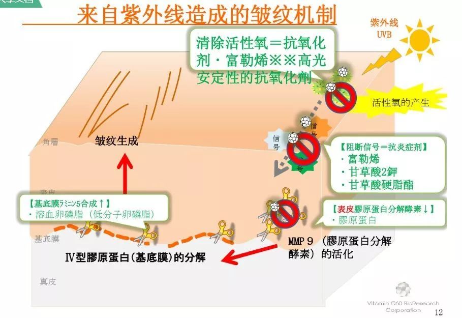 新澳门玄机免费资料,澳门新玄机免费资源解析_移动版2.57