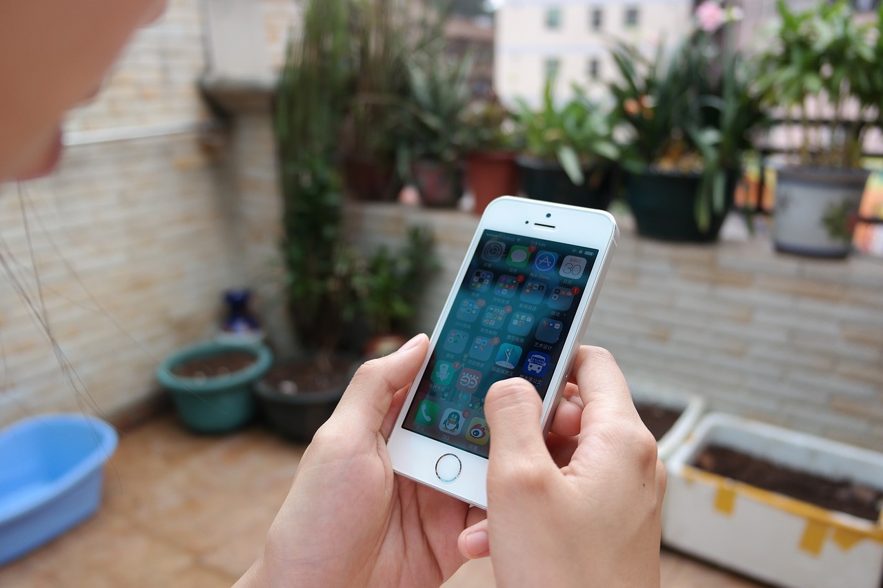 2024年资料免费大全,实地执行考察数据_ios40.91.50
