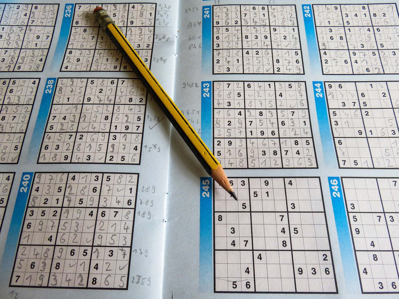 2024凌波微步每期自动更新图,最新解答解释落实_运动版88.379
