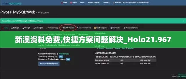 新澳资料免费,快捷方案问题解决_Holo21.967