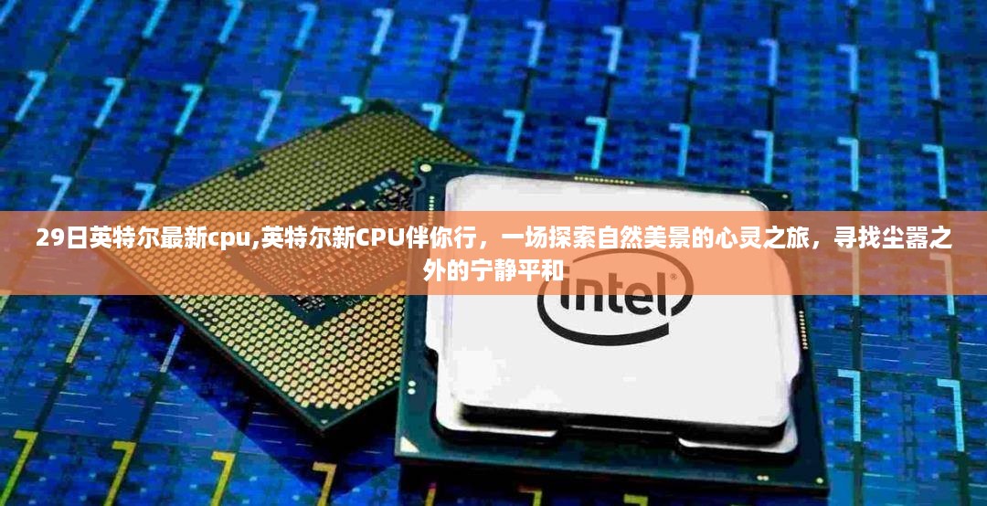 admin 第53页
