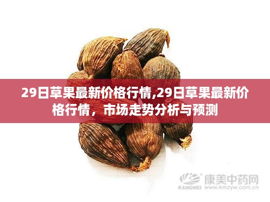 最新草果价格行情及市场走势分析与预测