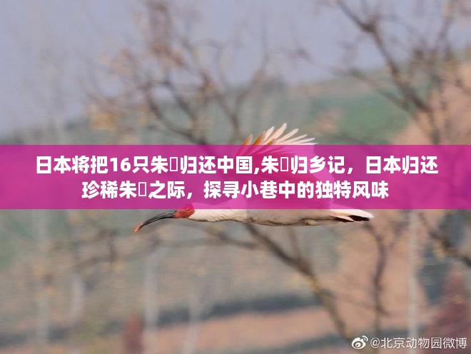 花开无言 第48页