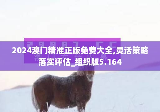 10新动28 第28页