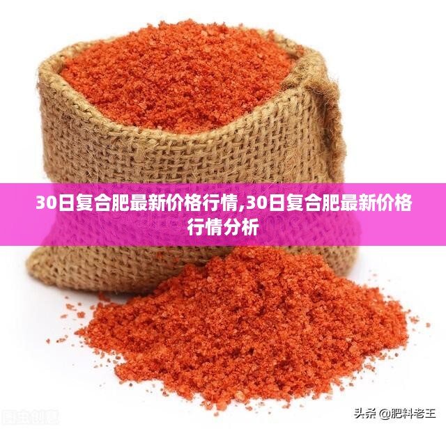 初告白 第48页