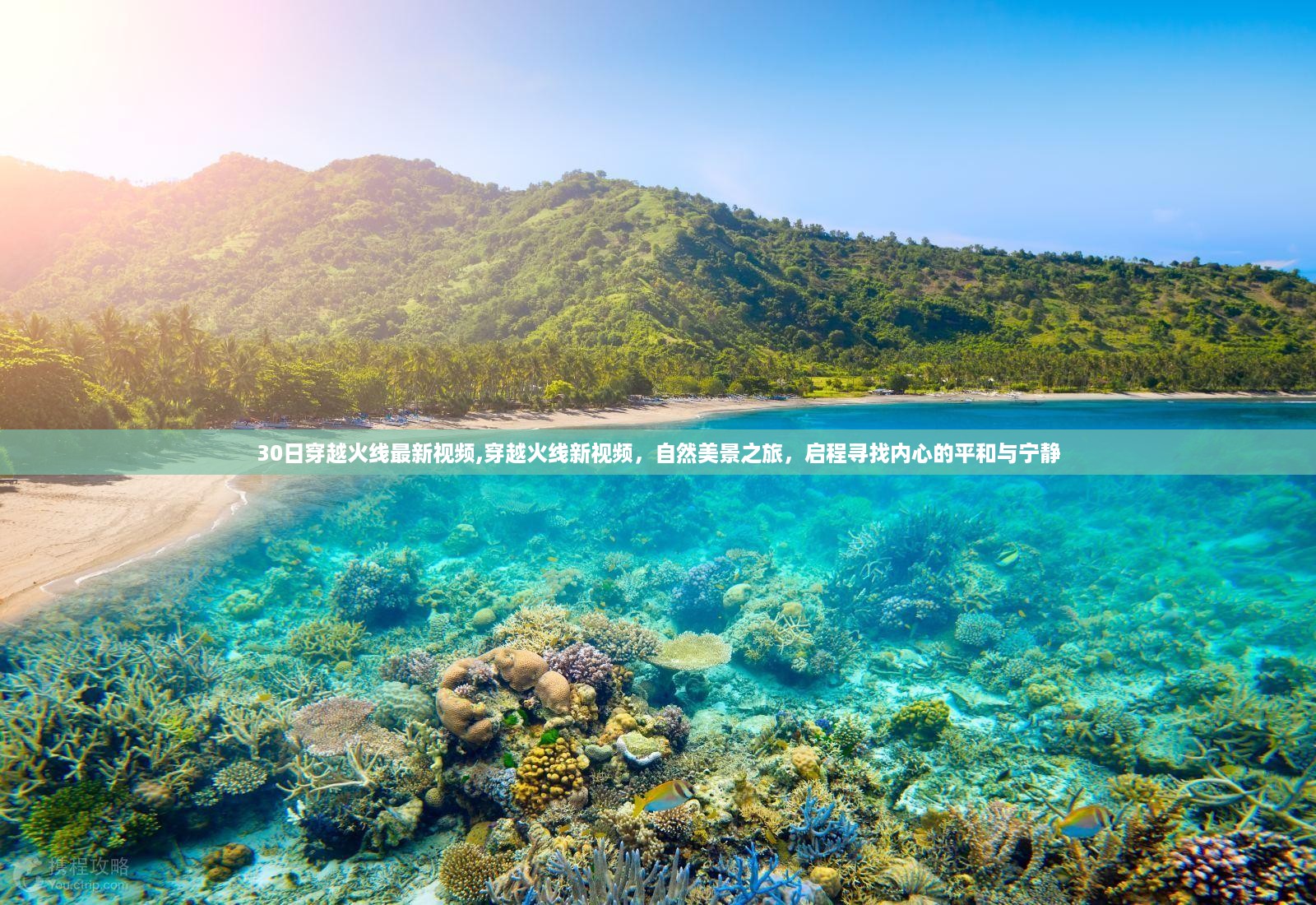 花开无言 第47页
