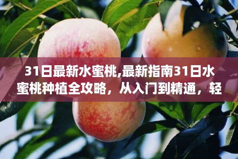 回眸最初 第41页