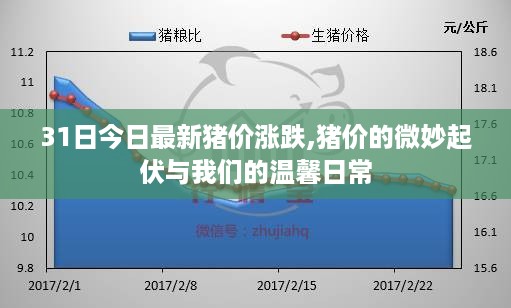 云烟 第36页
