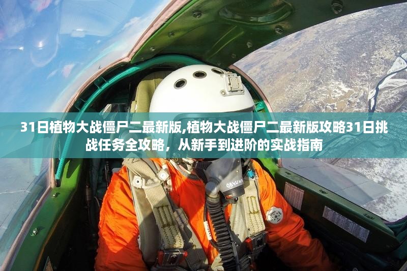 admin 第37页
