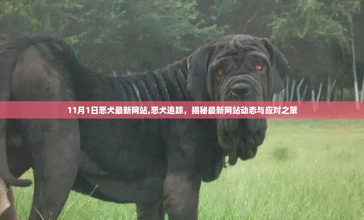 揭秘最新恶犬追踪网站动态与应对之策，犯罪问题深度剖析