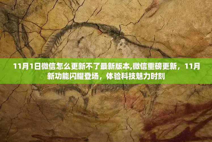 微信新功能
