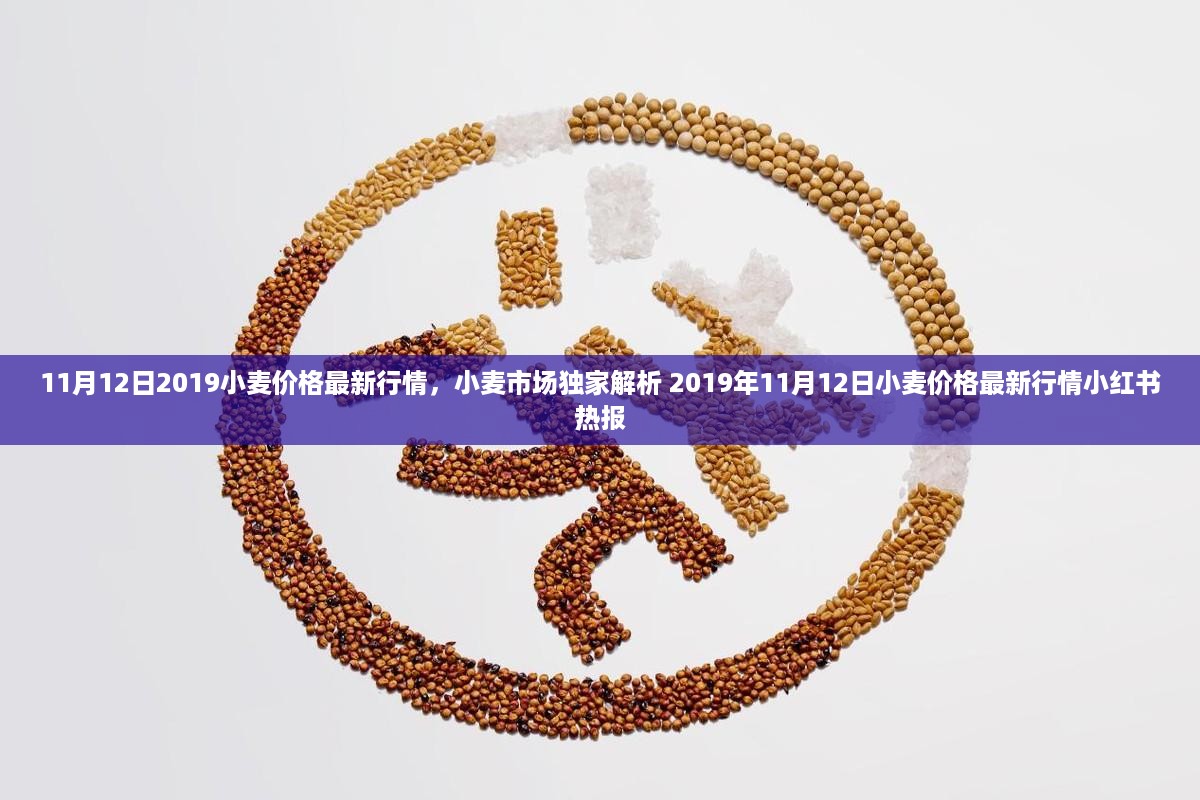 花开无言 第16页