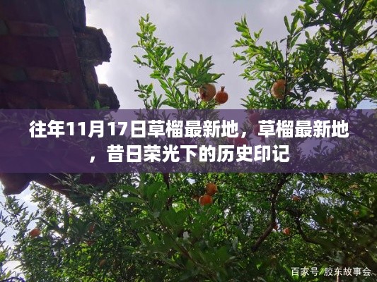 guizaizhixin 第9页
