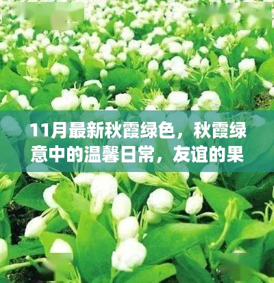 悠然自得 第11页