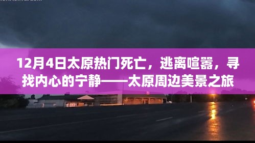 feiyipuhuo 第7页