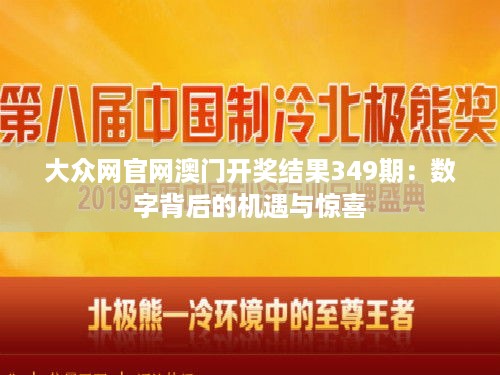 大众网官网澳门开奖结果349期：数字背后的机遇与惊喜
