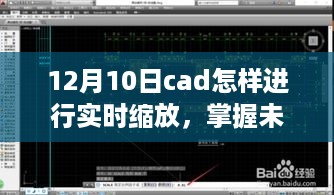 feiqinzoushou 第4页