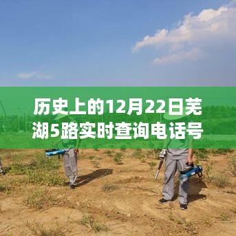 历史上的12月22日芜湖5路公交车实时查询电话号，回顾与解析历程