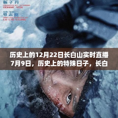 buyierfei 第4页