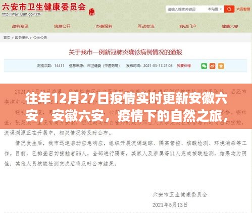肝胆相照 第3页