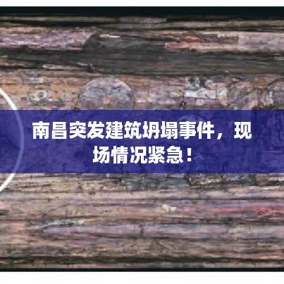 阳春白雪 第3页