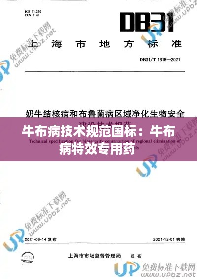 yankongsihai 第3页
