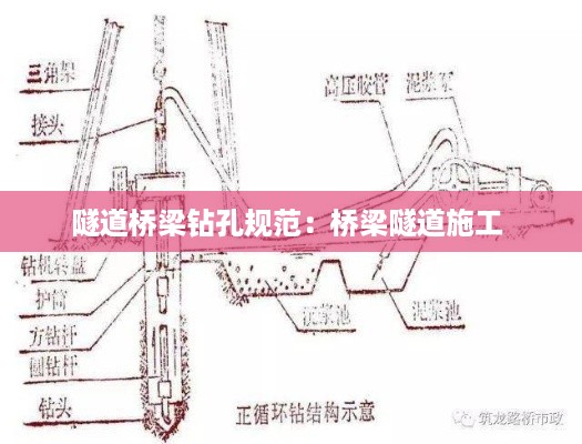 夯雀儿先飞 第3页