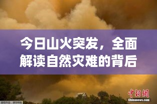纲举目张 第3页