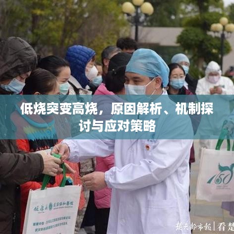 罗含梦鸟 第3页