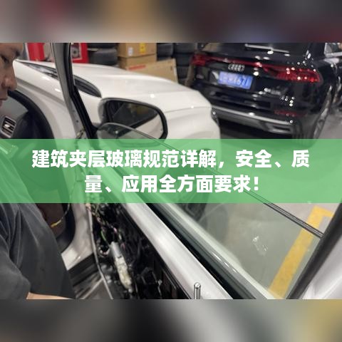 天潢贵胄 第3页