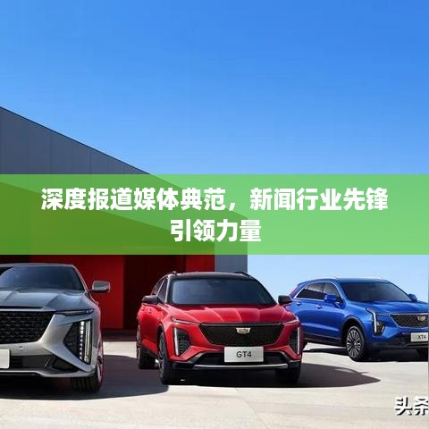 发奋图强 第3页