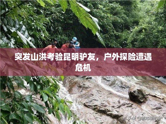 目不转睛 第3页