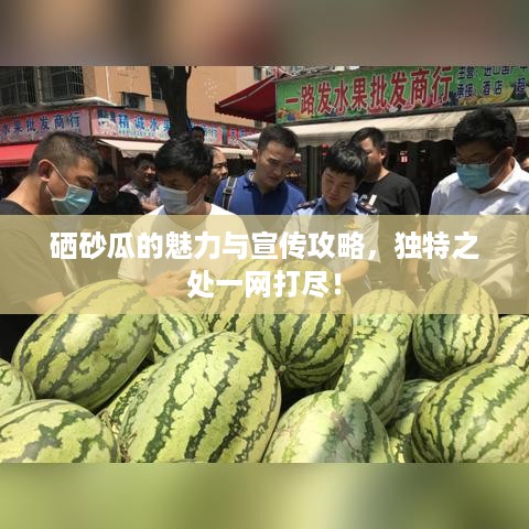 集腋成裘 第2页