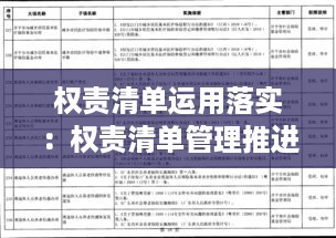 权责清单运用落实：权责清单管理推进情况汇报 