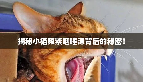 就汤下面 第3页