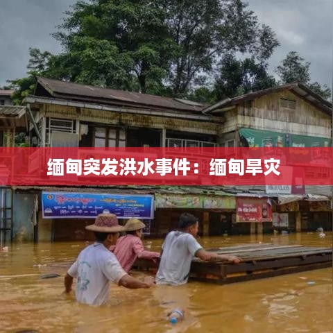 张灯结彩 第2页