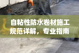 xizhaiwangqi 第2页