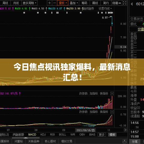 还朴反古 第3页