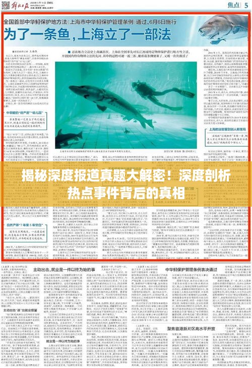 bangdachutouniao 第2页
