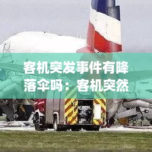 富贵凝香 第2页
