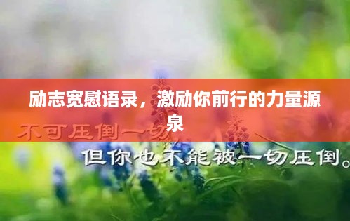 风流倜傥 第2页