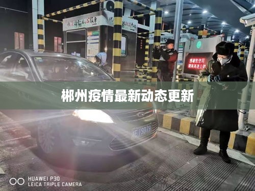 小家碧玉 第2页