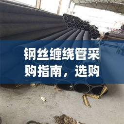 志在四方 第2页
