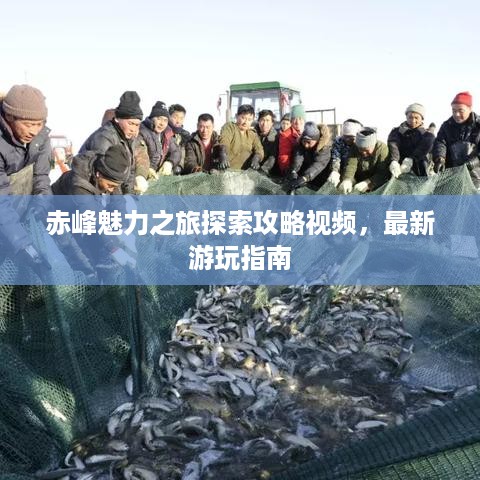 2025年4月 第82页