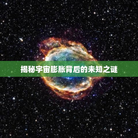 鸷鸟不群