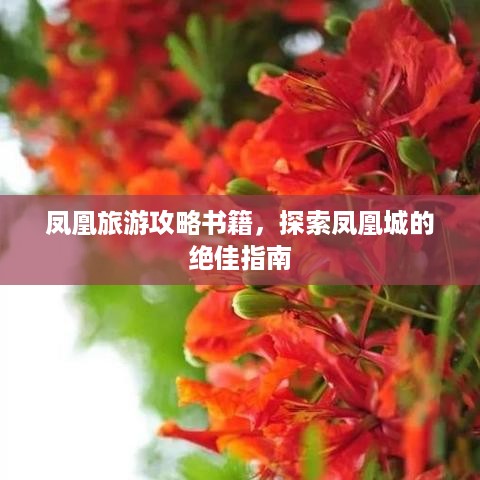 凤凰旅游攻略书籍，探索凤凰城的绝佳指南
