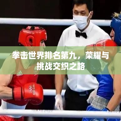 拳击世界排名第九，荣耀与挑战交织之路
