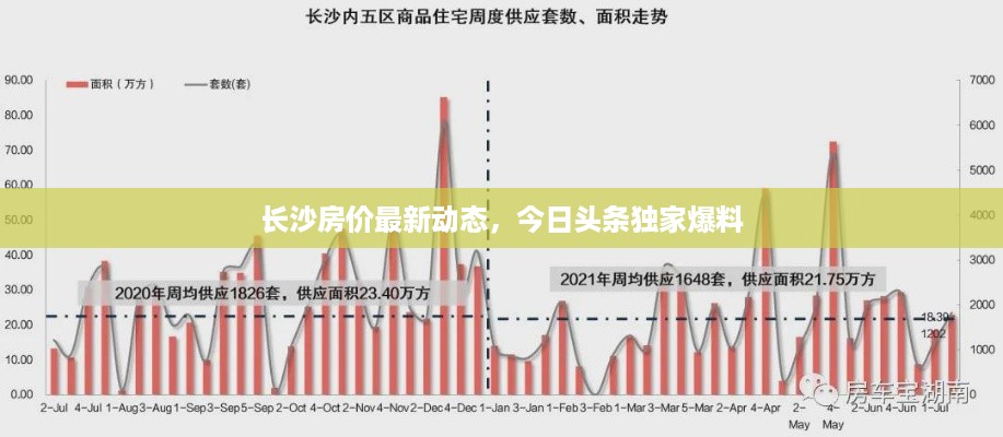 2025年6月3日 第5页